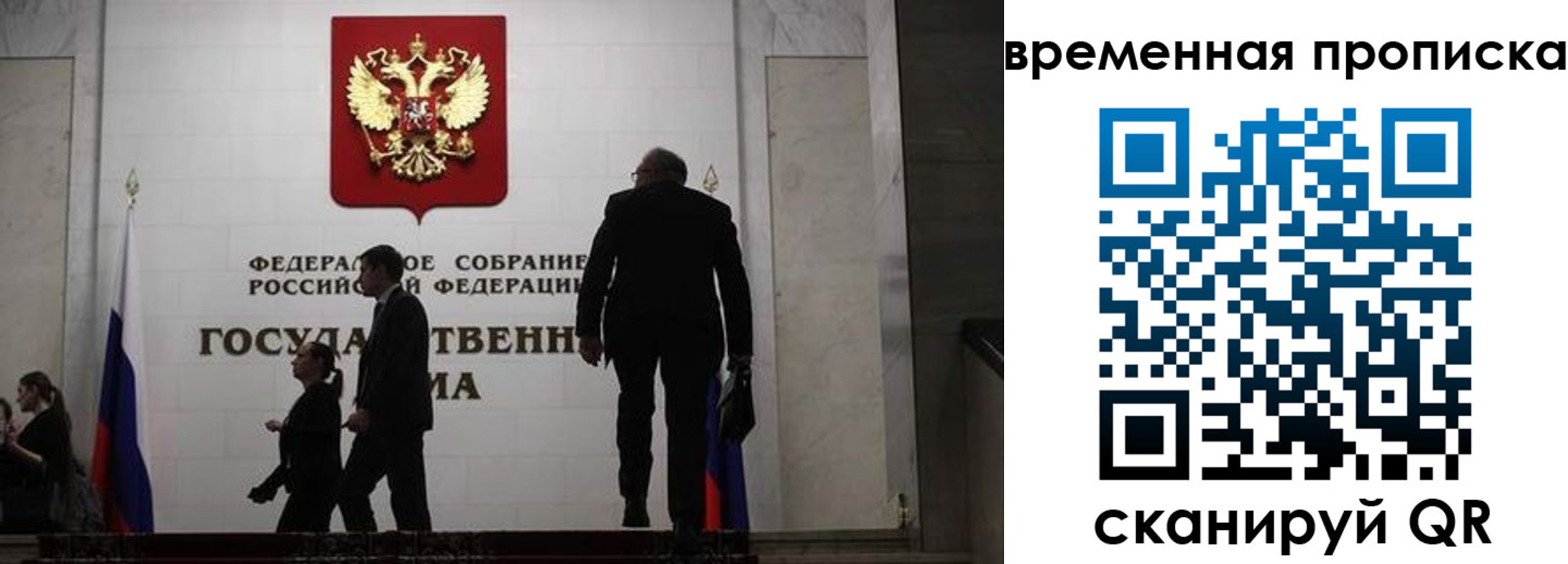 форма 3 в Новозыбкове